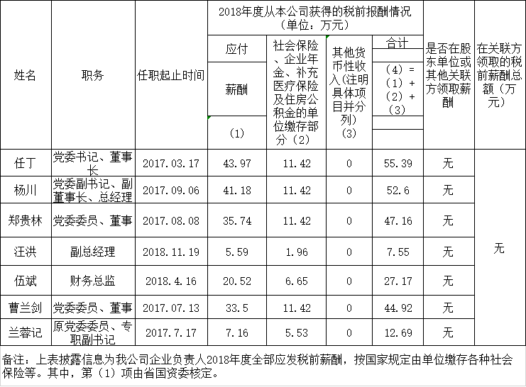 四川省ag尊龙登陆入口z6mg集团有限责任公司负责人2018年度薪酬情况