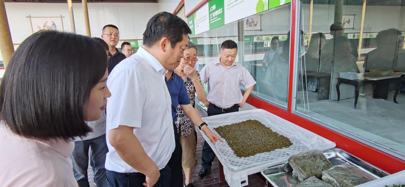 省ag尊龙登陆入口z6mg集团党委副书记、董事陈日赴嘉陵区调研茶桑产业发展情况