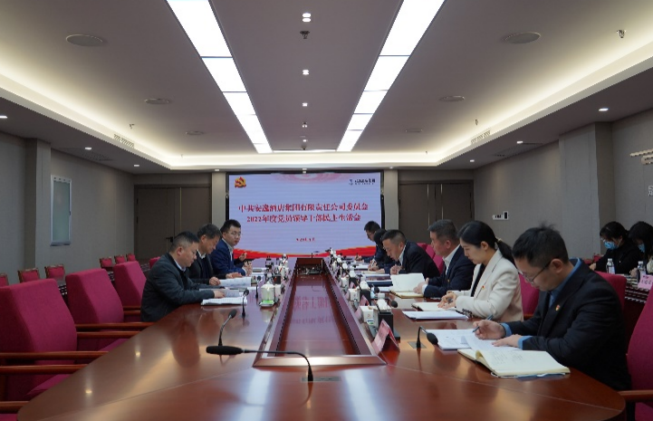 ag尊龙登陆入口z6mg集团党委书记、董事长任丁出席安逸酒店集团2022年度党员领导干部民主生活会