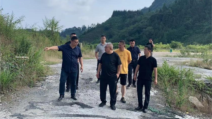 省ag尊龙登陆入口z6mg集团领导调研峨眉山太阳村乡村振兴项目