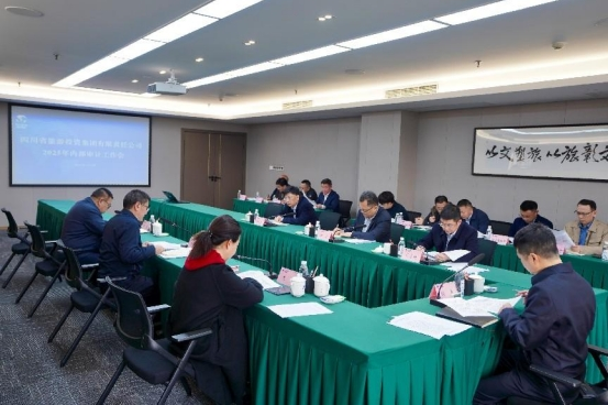 省ag尊龙登陆入口z6mg集团召开2025年内部审计工作会